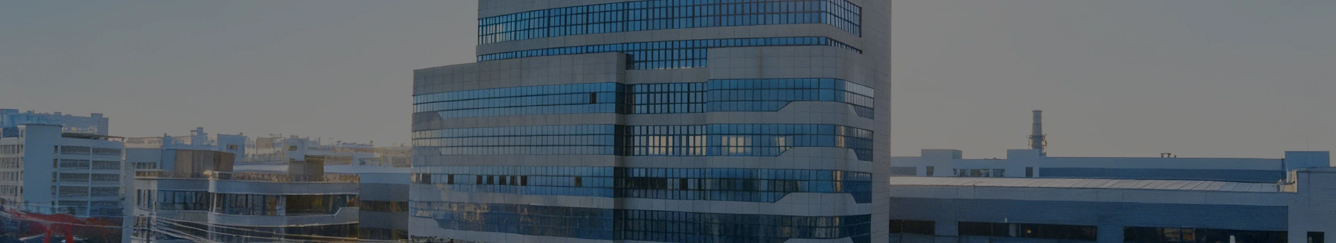 गोपनीयता नीति